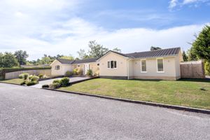 Photo 16- click for photo gallery